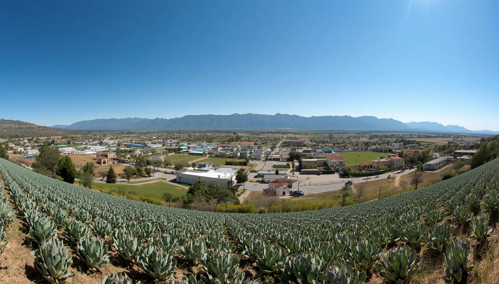 Castroville